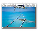 5709