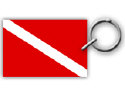 AKC0039