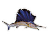 LPFISH4