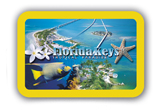 PLCARDS400