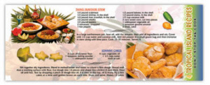 Banner Pens - Tropical Recipes