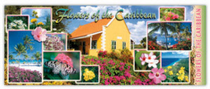 Banner Pens - Flowers